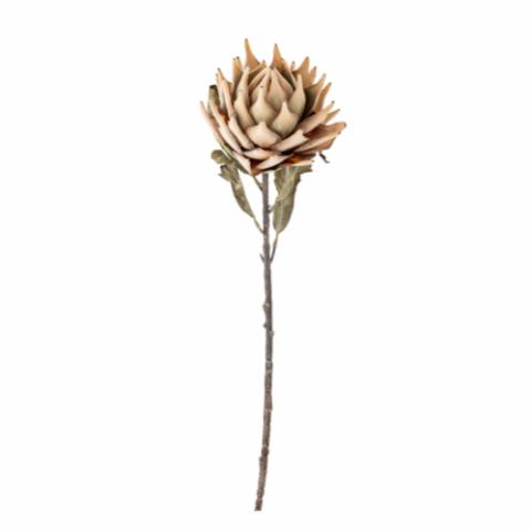Protea Stiel, Natur, Künstliche Blumen