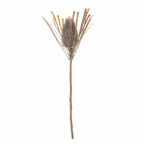 Palmflower Künstlich Einzelstiel, Braun, Kunststoff