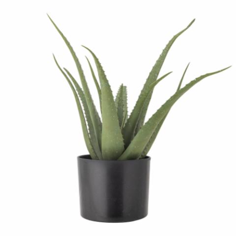 Aloe Artificial Plant, Green, Plastic