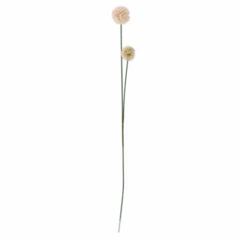 Phlox Stilk, Natur, Kunstige Blomster
