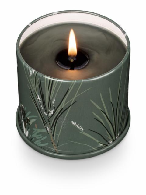 Balsam & Cedar Vanity Tin Candle, Green, 