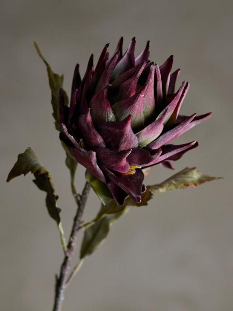 Protea Stiel, Violett, Künstliche Blumen