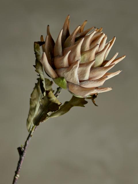Protea Tige de Fleur Artificielle, Nature, Plastique