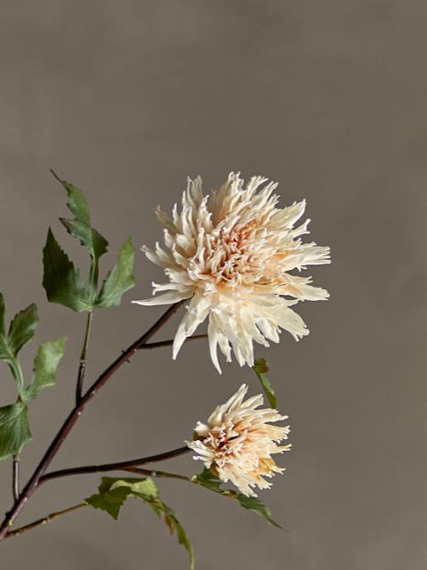 Chrysantemum Artificial Stem, Nature, Plastic