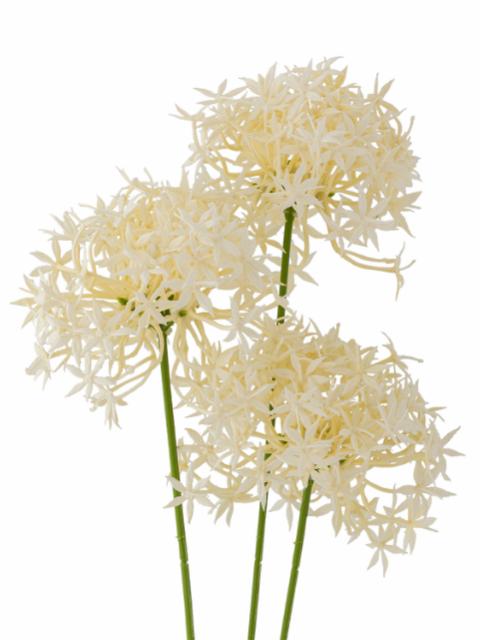 Allium Künstlich Einzelstiel, Weiß, Kunststoff