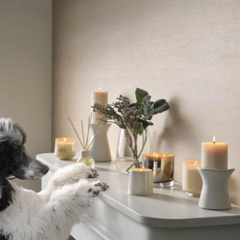 Winter White Scent Diffuser, White,