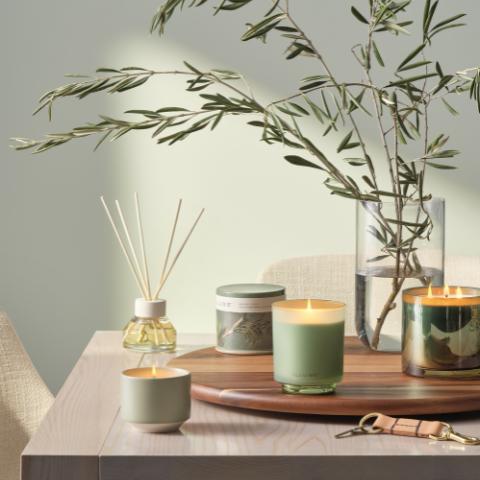 Hinoki Sage Demi Vanity Tin Kerze, Grün,