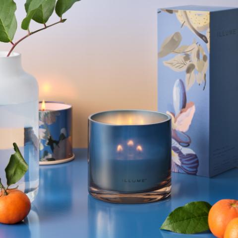 Citrus Crush Demi Vanity Tin Kerze, Blau,