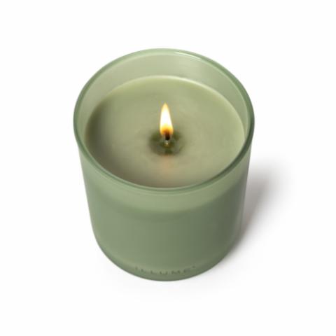 Hinoki Sage Box Glass Candle, Grün,