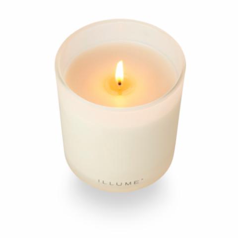 Driftwood Box Glass Candle, Blanc,