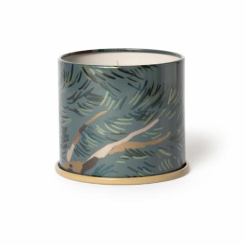 Hinoki Sage Vanity Tin Duftkerze, Grün,