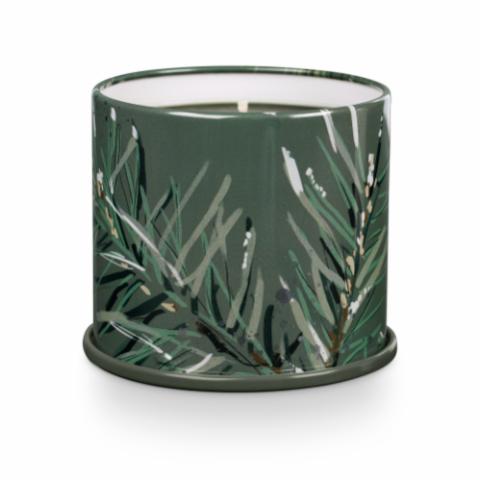 Balsam & Cedar Vanity Tin Duftkerze, Grün,