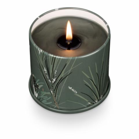 Balsam & Cedar Vanity Tin Bougie, Verte,