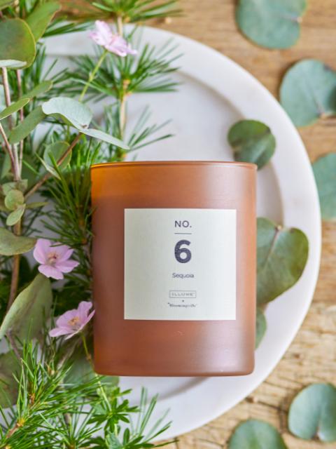 NO.6-Sequoia Scent Candle, Brown, Wax