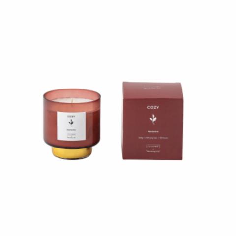 COZY - Nectarine Scented Candle, Natural wax