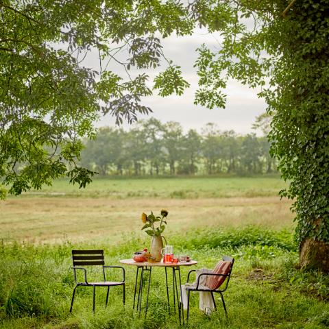 Monsi Dining Chair, Black, Galvanized Metal