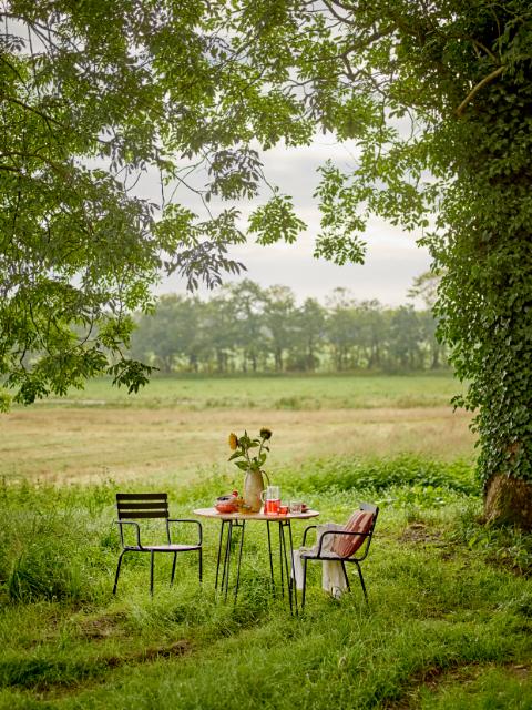 Monsi Dining Chair, Black, Galvanized Metal