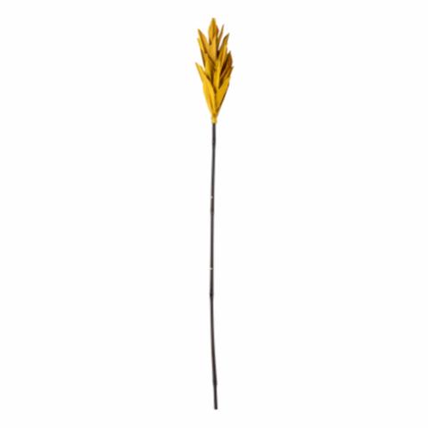 Olise Deko-Blume, Natur, Palm leaf