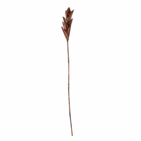 Afina Deco Flower, Brown, Palm Leaf