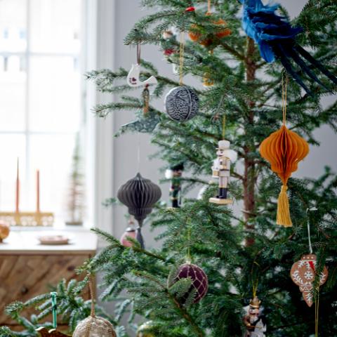 Nikita Bibelot, Multicolore, Pin