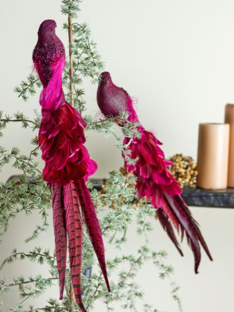 Payton Oiseau décoratif, Rouge, Plume