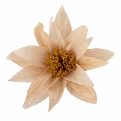 Portia Deko-Blume, Natur, Papier