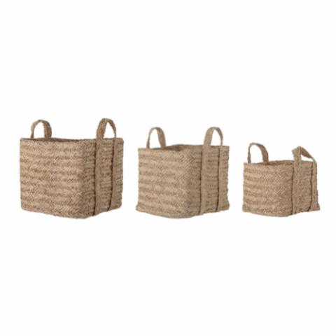 Kayes Basket, Nature, Seagrass