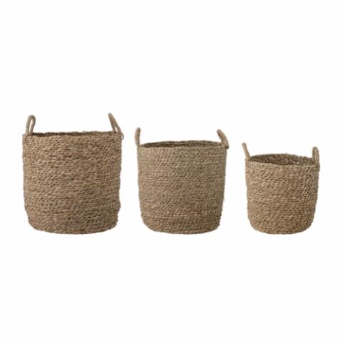 Maisie Basket, Nature, Seagrass