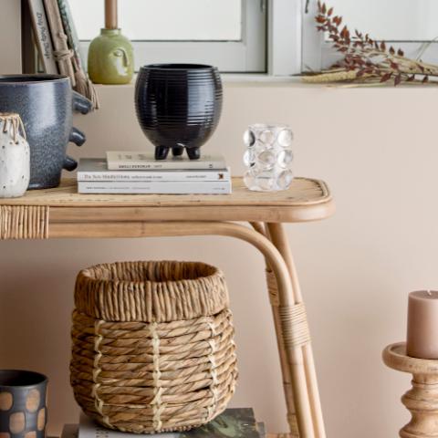 Noore Pedestal, Nature, Mango