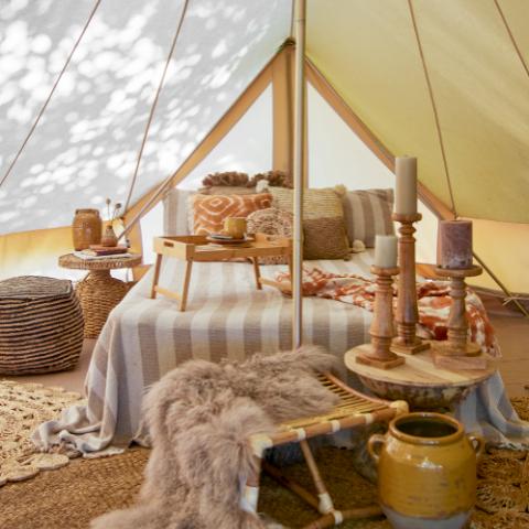 Noore Pedestal, Nature, Mango