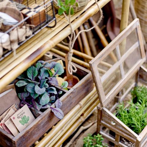 Marti Display box, Brown, Firwood