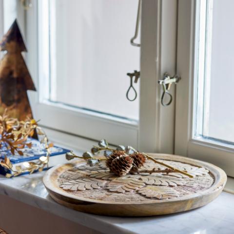 Noreen Plateau, Nature, Mango