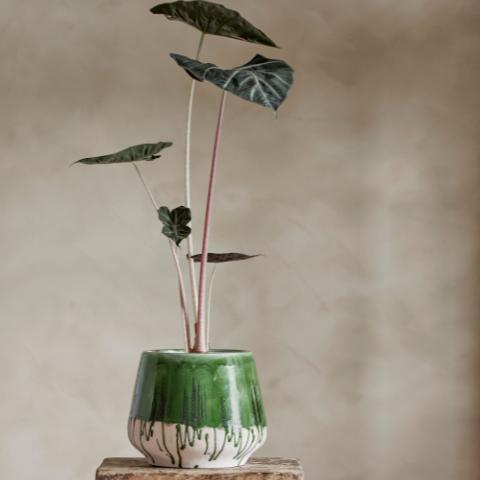 Moez Pot de fleurs, Verte, Grès