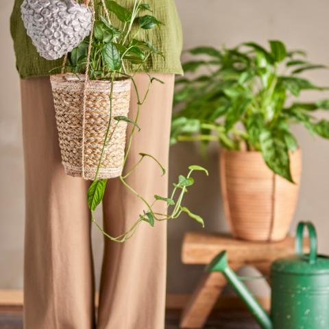 Alaz Hængeurtepotte, Natur, Stentøj