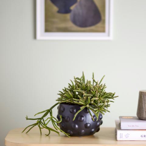 Parvin Deco Flowerpot, Black, Terracotta