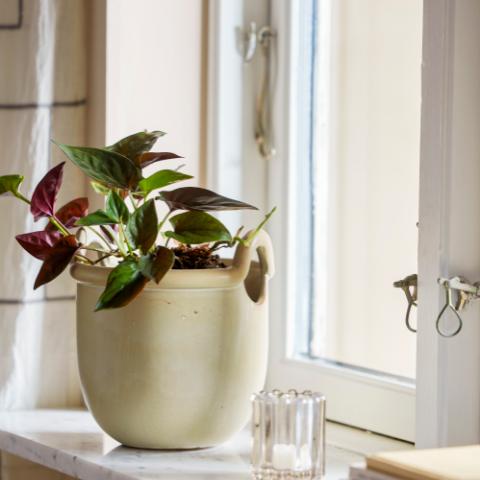 Janti Pot de fleurs, Nature, Grès