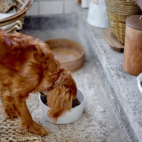 Buddy Bol, Blanc, Grès