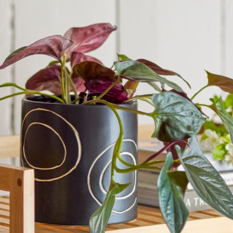 Troy Pot de fleurs, Noir, Grès