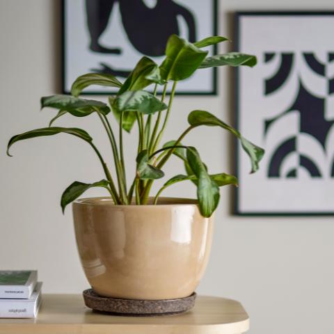 Ritva Pot de fleurs pour support, Marron, Grès