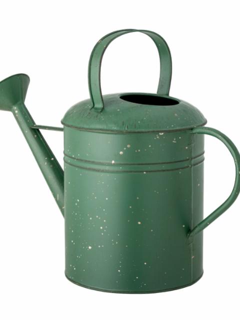 Anemone Watering Can, Green, Metal