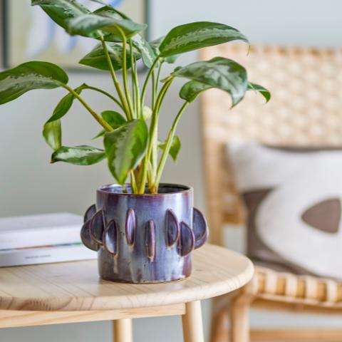 Roza Pot de fleurs, Gris, Grès