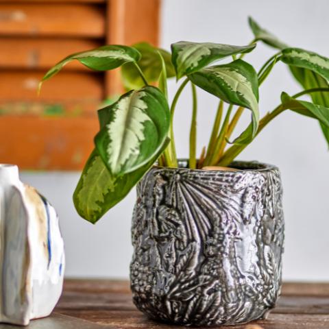 Nikou Pot de fleurs déco, Noir, Terre cuite