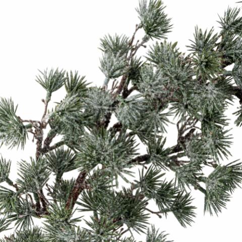 Cedar Krans, Grøn, Kunstige Blomster