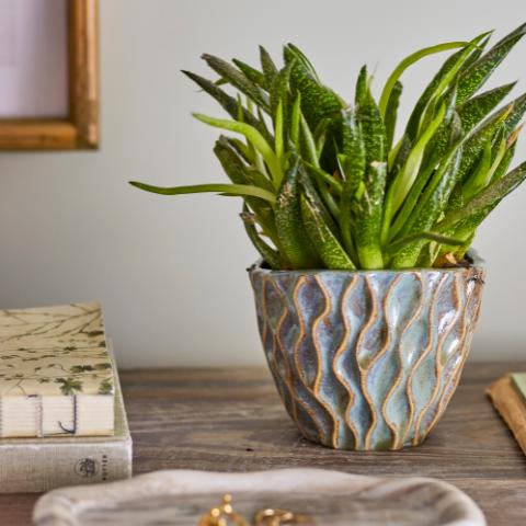 Feren Urtepotteskjuler, Blå, Stentøj