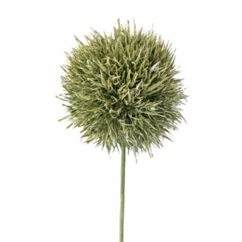 Allium Tige, Verte, Fleurs artificielles