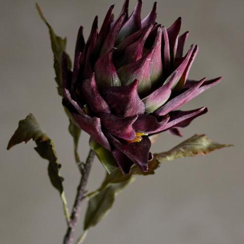 Protea Stem, Purple, Artificial Flowers