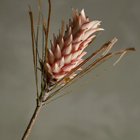 Palmflower Tige, Rose, Fleurs artificielles