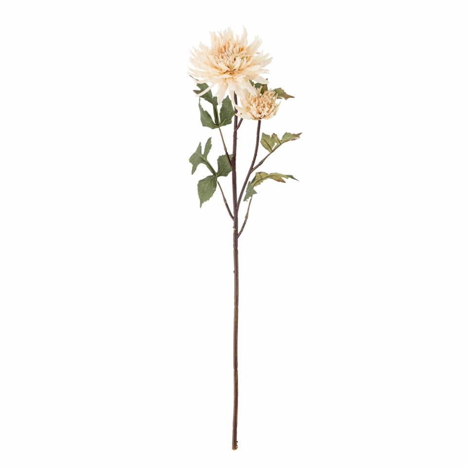 Chrysantemum Stiel, Natur, Künstliche Blumen