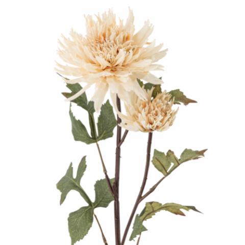 Chrysantemum Tige, Nature, Fleurs artificielles