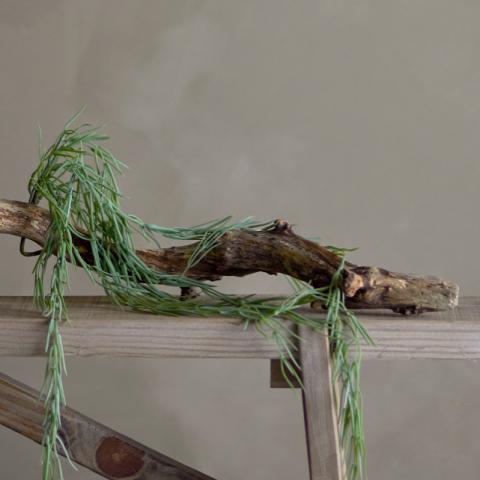 Tilandsia Plante, Verte, Fleurs artificielles